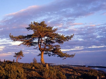 О природном парке "Валаамский архипелаг" можно будет узнать в новом визит-центре