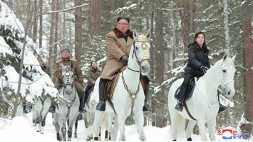 Эксперт указал на алтайскую родину белогривого коня Ким Чен Ына