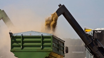 Как складывается цена на зерно и чего ожидают от Зимней зерновой конференции аграрии