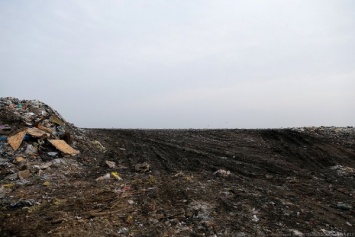 Под Багратионовском предприниматель попал под статью за загрязнение почвы