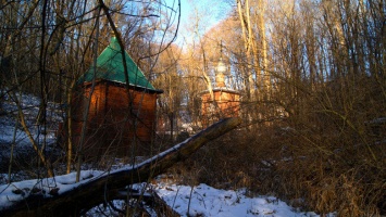В Белгороде навели порядок в Монастырском лесу