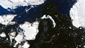 В Антарктиде из-за рекордного тепла растаял лед