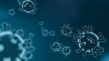 Китайские ученые отказались признавать рынок в Ухане источником коронавируса