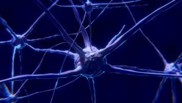 Отложения железа в мозге указывают на деменцию при болезни Паркинсона