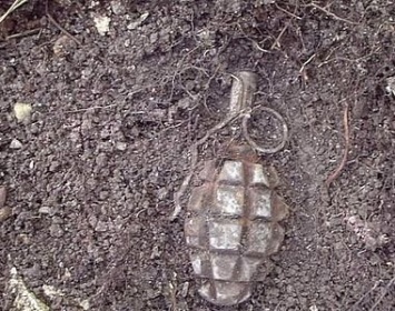 В одном из районов Карелии обнаружили девять взрывоопасных предметов времен войны