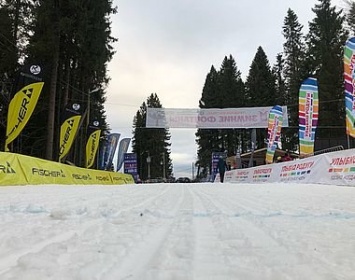 30-метровая ель рухнула на территории лыжного фестиваля "KareliaSkiFest" в Петрозаводске (ВИДЕО)