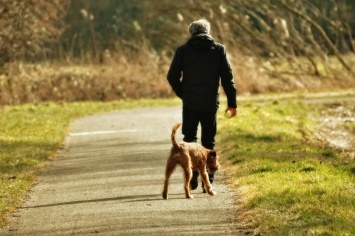 Ученые: Присутствие собаки в доме увеличивает продолжительность жизни человека