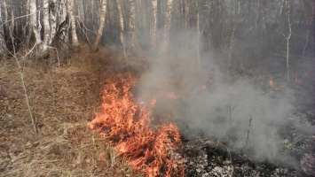 Все в дыму. Автомобилисты опубликовано видео с алтайской трассы