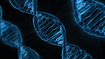 Ученые открыли новый метод редактирования ДНК