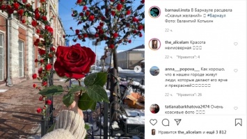 Стало известно, зачем украсили розами скамейку желаний в Барнауле