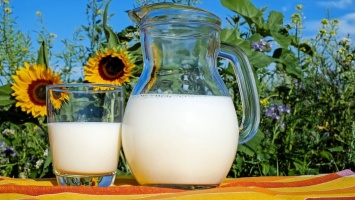 Ученые назвали оптимальное количество молока в день