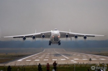 Авиалайнер с треснувшим лобовым стеклом приземлился в московском аэропорту