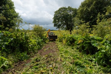 Зеленоградские власти обещают повышенный в 5 раз налог за пустующую сельхозземлю