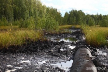 В Югре прокуратура добилась возмещения ущерба, причиненного экологии, в результате деятельности нефтяной компании