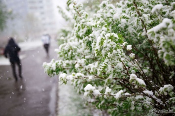 Кемеровские синоптики предупредили об опасной погоде в первый день весны