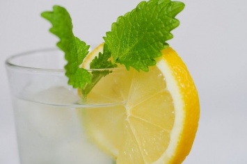 Испанский диетолог назвал целебные свойства воды с лимоном преувеличенными