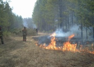 Выявлять лесные пожары в Приамурье будут с помощью двух новых систем мониторинга
