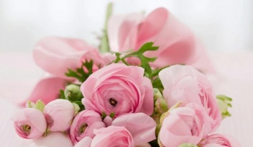 Флорист открыла секрет, как дольше радоваться цветам после 8 Марта
