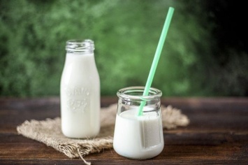 Российский диетолог расположила молочные продукты по степени полезности