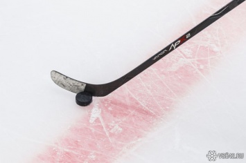 Кузбасский хоккеист отметился голом в матче НХЛ