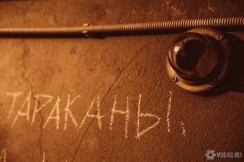 Кемеровские медики в борьбе с тараканами заделывают дыры