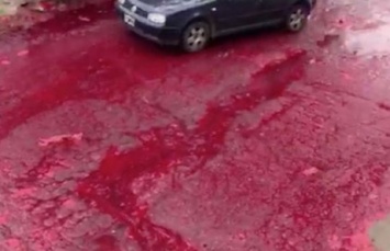 Пять тысяч литров крови затопили улицу в Аргентине