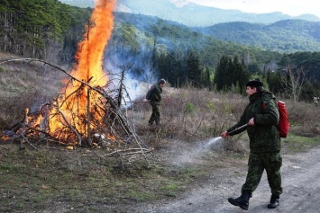В Ялтинском заповеднике прошли учения по тушению лесного пожара