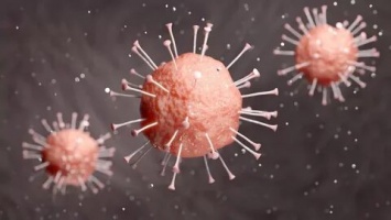 Эксперты рассказали, как распознать симптомы коронавируса
