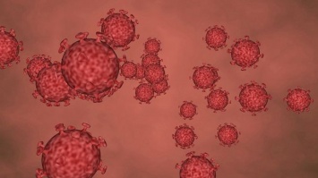Власти Чехии ввели общенациональный карантин из-за коронавируса