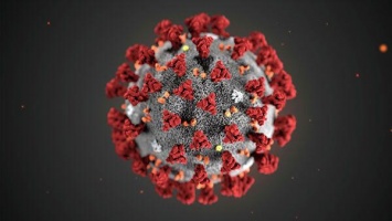 Ученые выяснили, что сроки жизни коронавируса зависит от среды