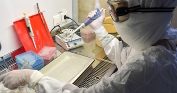 В Нижнем Тагиле откроют лабораторию для проверки анализов на коронавирус