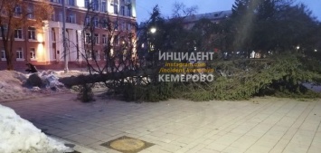 Штормовой ветер повалил остановки и деревья в Кемерове