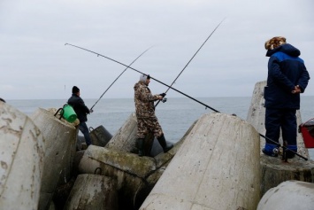 Полицейские задержали двух мужчин, незаконно рыбачивших в Калининградском заливе
