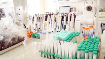 В Белгородской области тесты на коронавирус будут делать всем желающим