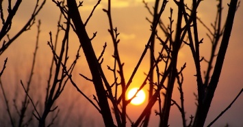 В Свердловской области климатическая весна наступит раньше обычного