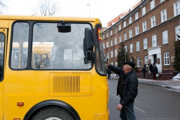 Правительство области закупило на 59 млн руб. автобусов для перевозки детей