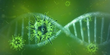 Китайские СМИ нашли первого заразившегося коронавирусом человека