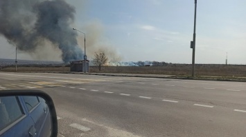 В Белгороде горит Монастырский лес