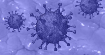 Число заболевших коронавирусом в Свердловской области увеличилось до 33 человек