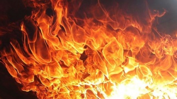 В Чувашии локализован крупный лесной пожар