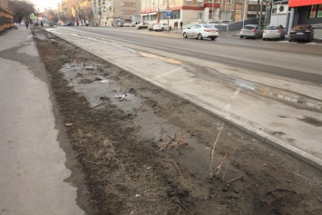 Уничтоженные в Барнауле кусты стоимостью 300 тысяч рублей по гарантии восстановят дорожники