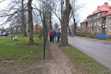 На ул. Ялтинской приостановили ремонт тротуара из-за защитников деревьев