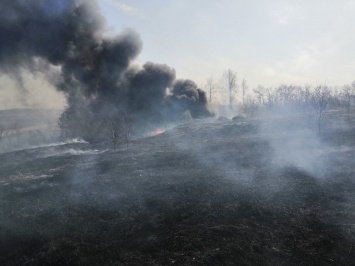 Белгородских пожарных беспокоит возросшее число возгораний сухой травы
