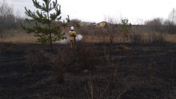 Сухую траву начали поджигать в Алтайском крае