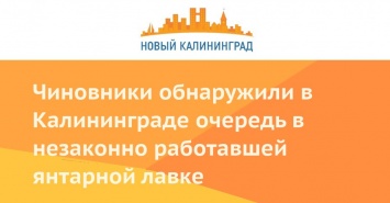 Чиновники обнаружили в Калининграде очередь в незаконно работавшей янтарной лавке