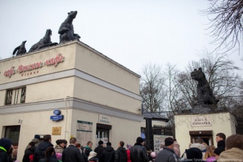 Калининградский зоопарк показал, как выглядят новые скульптуры на входе (видео)