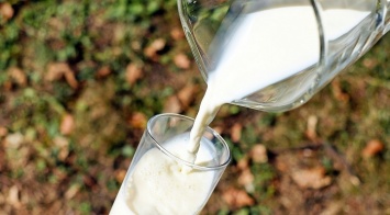 Рентабельность производства молока в Алтайском крае выросла
