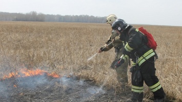 В Алтайском крае начались возгорания сухой травы
