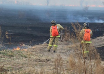 Сельхозпалы в Архаринском районе привели к природному пожару