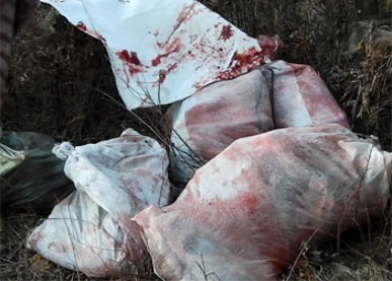 Браконьеры в Мазановском районе «перепутали» четырех косуль с медведем